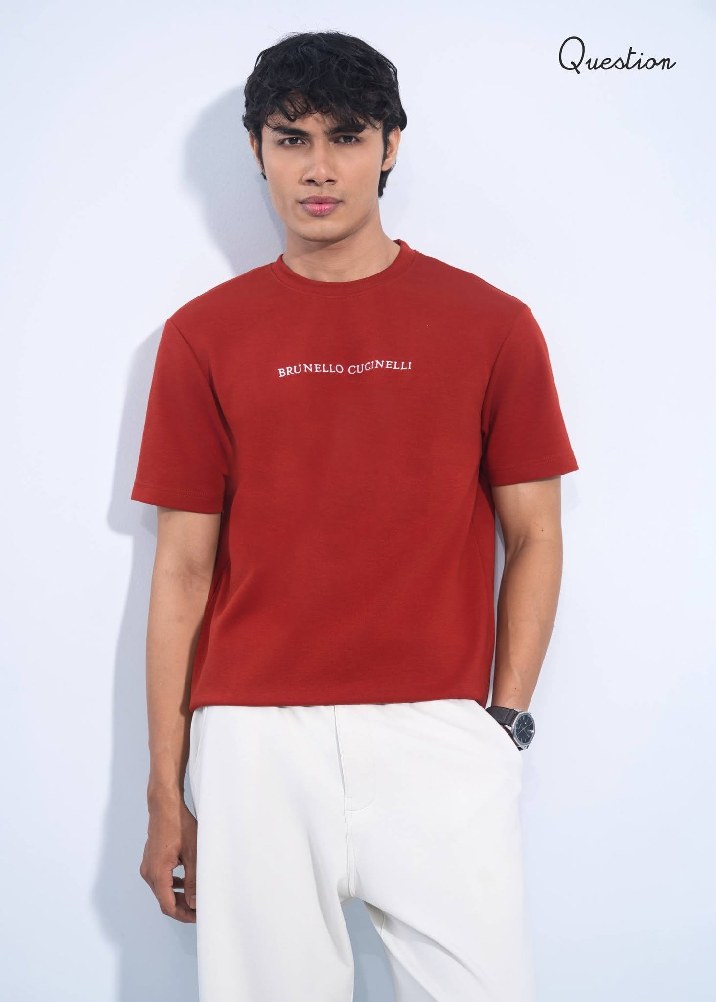 778852850_1394438666128373_5859331427770423291_n Question Premium Regular Fit T-Shirt - Jade Red - Image 1